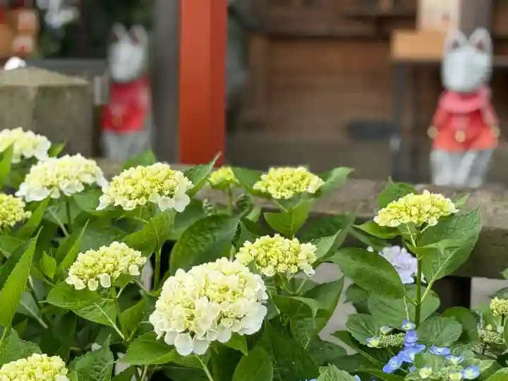 川越八幡宮(埼玉県)