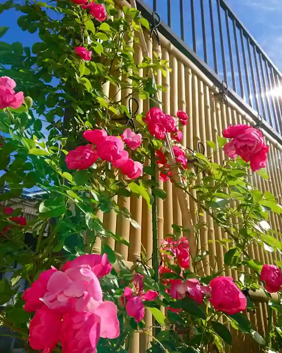 寿量山 速成寺の庭園
