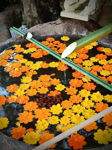 東京羽田 穴守稲荷神社の手水