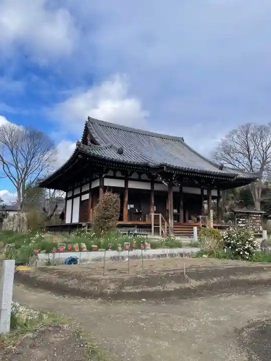 般若寺 ❁コスモス寺❁(奈良県)