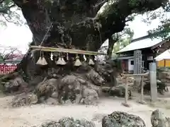 宇美八幡宮(福岡県)