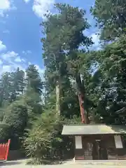 一之宮貫前神社(群馬県)