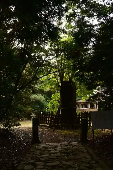 大元神社(宇佐神宮奥宮)(大分県)