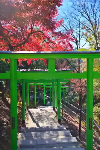 足利織姫神社(栃木県)