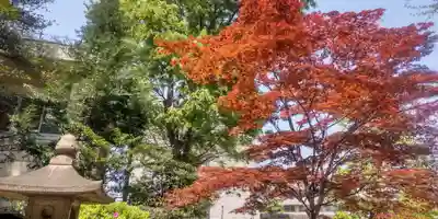 根津神社(東京都)
