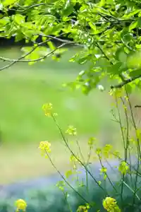 浄土寺(兵庫県)(2024年04月27日(土) 08時40分52秒投稿)