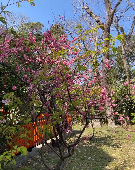 大江神社(大阪府)