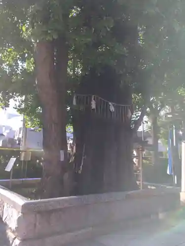 飛木稲荷神社(東京都)