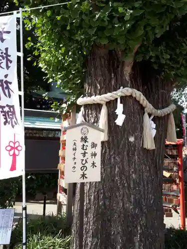 川越八幡宮の芸術