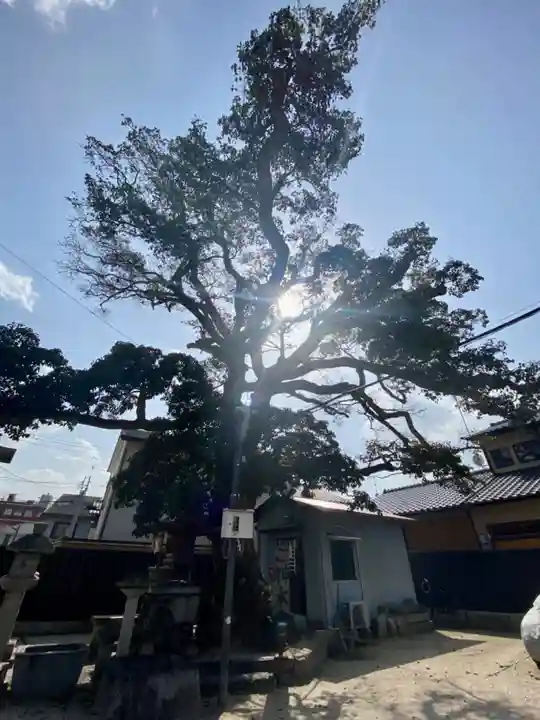 櫟谷七野神社(京都府)