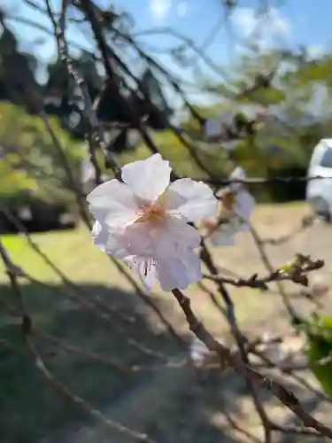 清澄寺(千葉県)