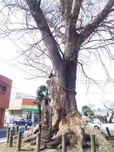 八雲神社（砂神社）のその他建物