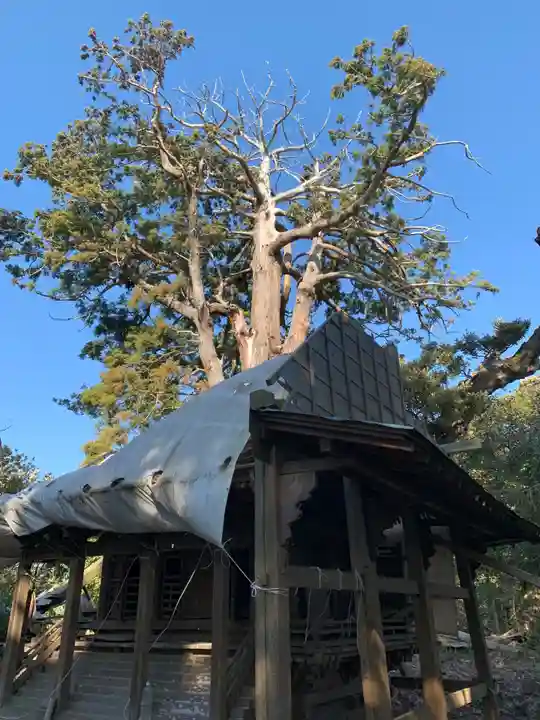白山神社のその他建物