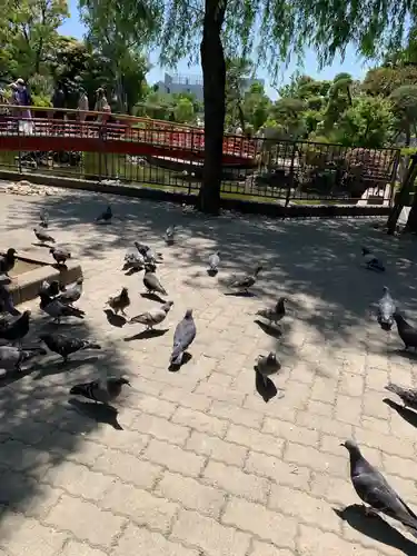 川崎大師（平間寺）(神奈川県)