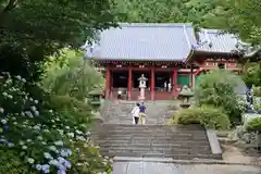 矢田寺の本殿