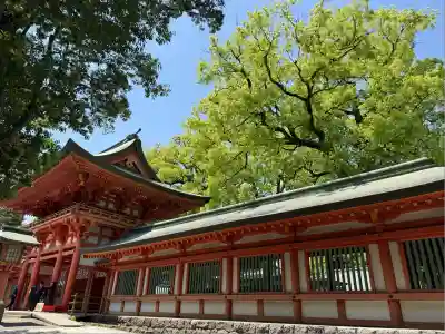 武蔵一宮氷川神社(埼玉県)
