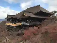 清水寺の本殿・本堂
