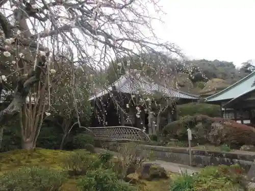 海蔵寺の景色