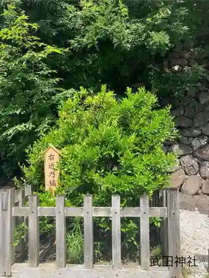 武田神社(山梨県)