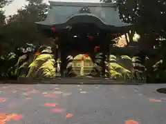 高台寺（高台寿聖禅寺・高臺寺）(京都府)