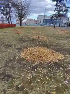 厚別神社(北海道)(2025年11月15日(土) 16時44分35秒投稿)