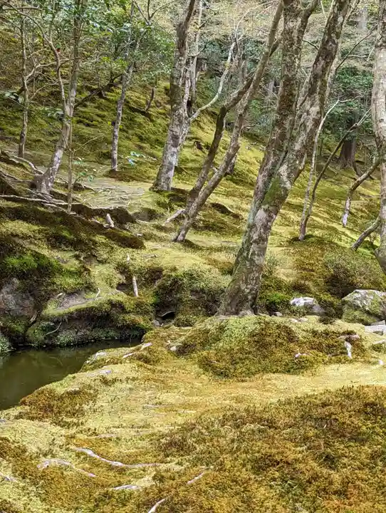 慈照寺(慈照禅寺・銀閣寺)の周辺
