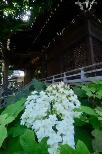 白山神社の庭園