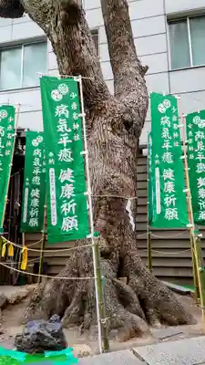 少彦名神社(大阪府)