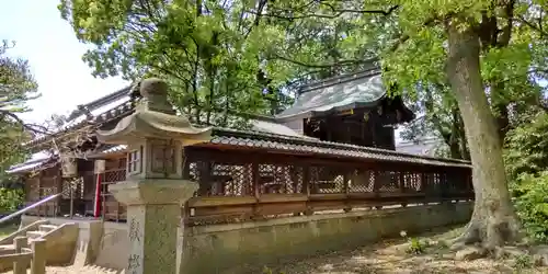 膳所神社(滋賀県)