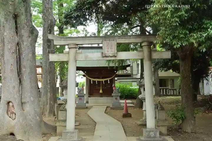 丸子山王日枝神社(神奈川県)