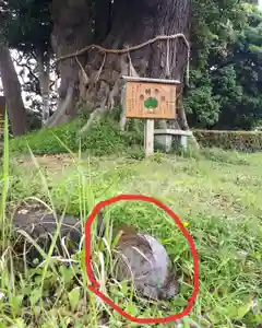 蓮久寺の動物(2020年05月23日(土) 18時15分24秒投稿)