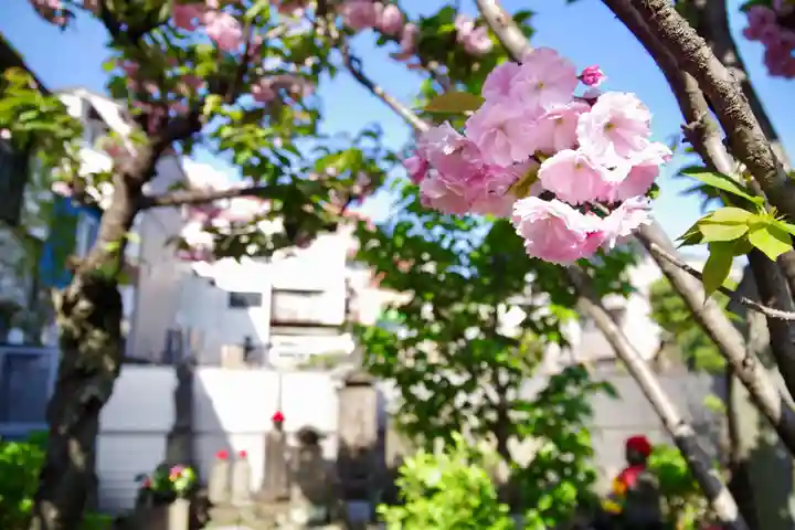 福王山 慈眼寺(東京都)