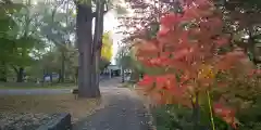 上川神社頓宮の庭園