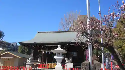 朝日氷川神社(埼玉県)