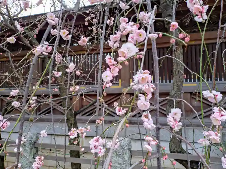 湯島天満宮(東京都)