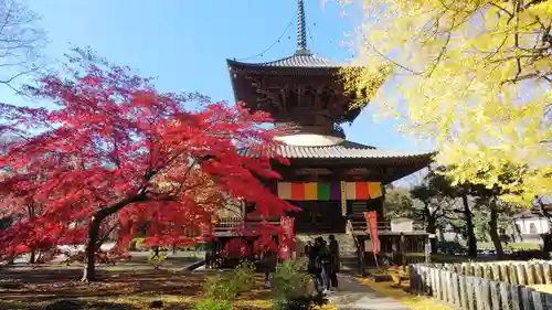 鑁阿寺の塔