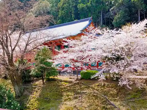 青岸渡寺(和歌山県)