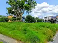 八面神社の自然