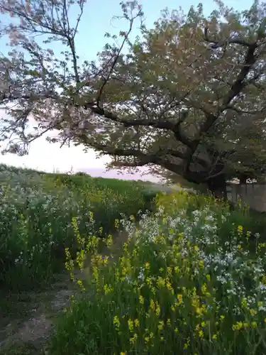 殿町水神社（水神宮）(神奈川県)