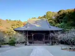 妙本寺(神奈川県)