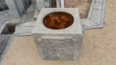 西光寺奥之院 誓願之塔の手水舎