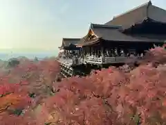 清水寺の本殿