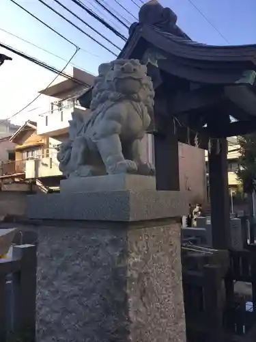 神楽坂若宮八幡神社の狛犬