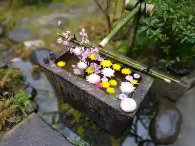 宝蔵寺(京都府)