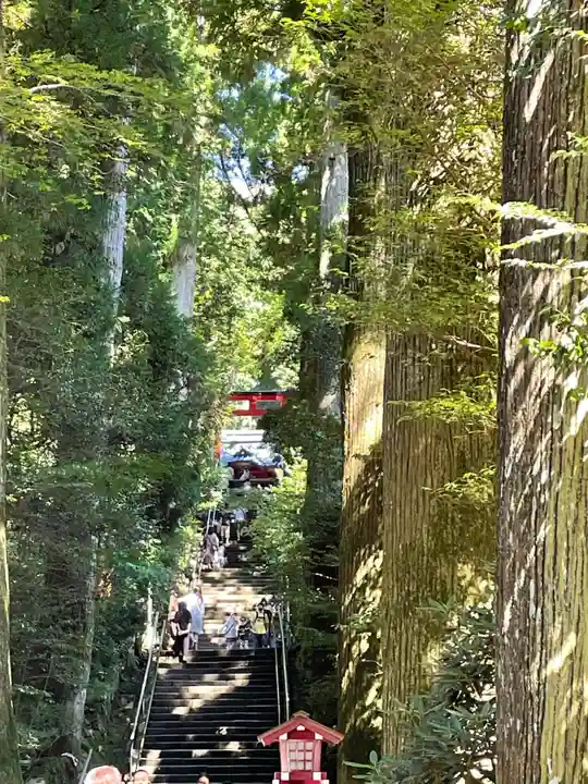 箱根神社のその他建物