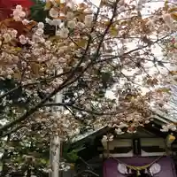 彌彦神社 (伊夜日子神社)の自然