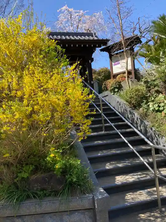 光照寺の自然