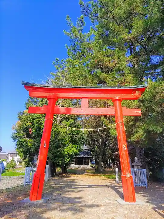 八幡神社(柴ケ森八幡社)の鳥居