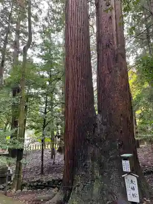 若狭彦神社（上社）(福井県)