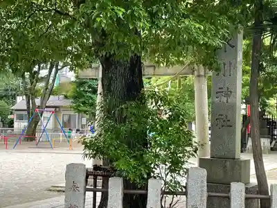 矢口氷川神社(東京都)